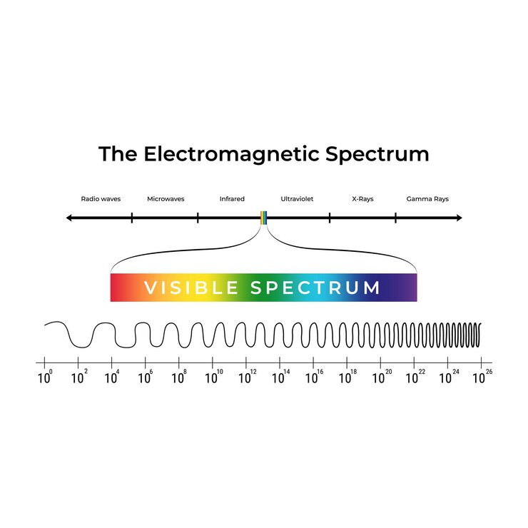 Vector ilustración del espectro electromagnético y el diseño vectorial de la luz visible