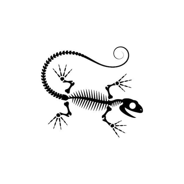 Ilustración del esqueleto de lagarto