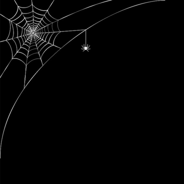 Ilustración de la esquina de la tela de araña. decoración de halloween con telaraña. vector de telaraña simple