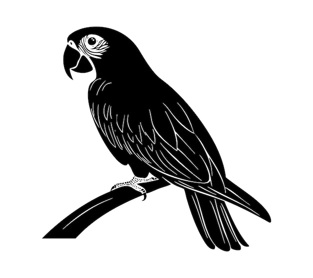Una ilustración estilizada en blanco y negro de un loro posado en una rama ideal para diseños con temas naturales