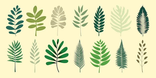 Ilustración estilizada de hojas botánicas conjunto vectorial aislado