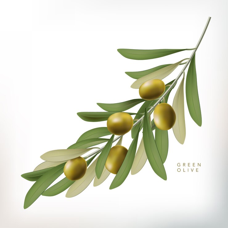 Ilustración de estilo clásico verde oliva con hojas