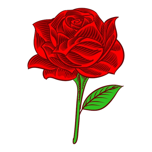 Ilustración de estilo de grabado en flor rosa para elemento de diseño