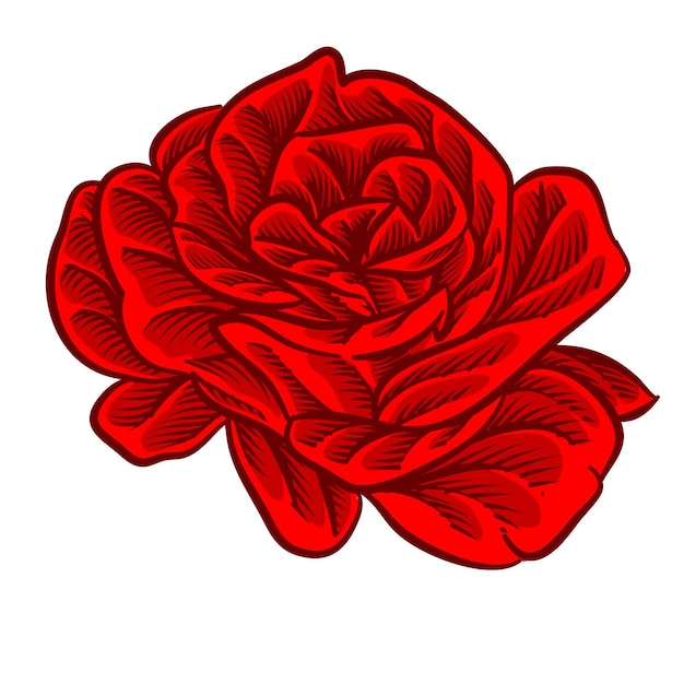 Ilustración de estilo de grabado en flor rosa para elemento de diseño