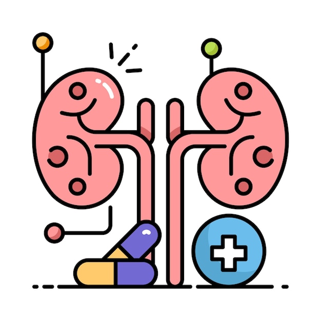 Ilustración de estilo de icono de contorno lleno de vector de riñón Símbolo en fondo blanco Archivo EPS 10