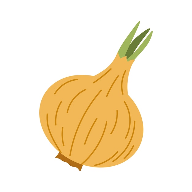 Ilustración de estilo plano de una cebolla con hojas verdes ideal para proyectos de cocina de alimentación saludable y