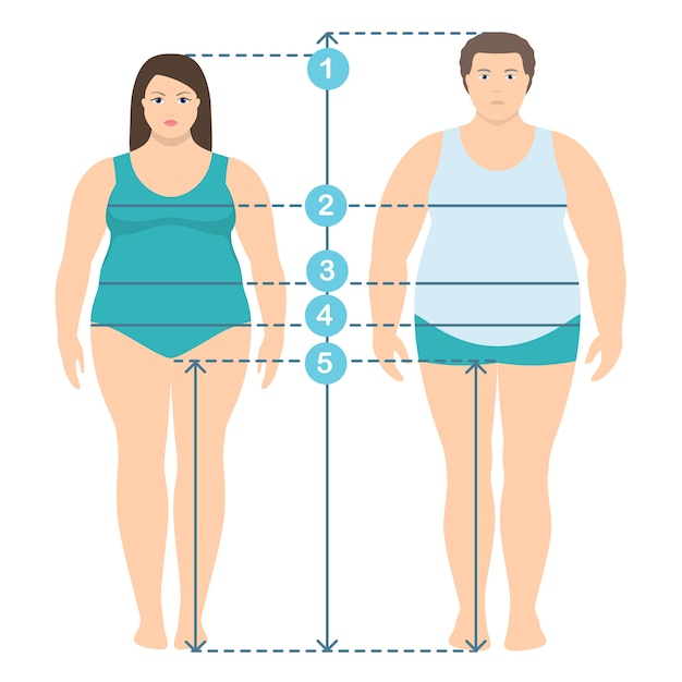 Vector ilustración de estilo plano de hombres y mujeres con sobrepeso en toda su longitud con líneas de medición de parámetros corporales