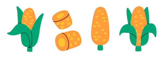 Ilustración de estilo plano de maíz en varias formas, incluidas rebanadas de orejas enteras y mazorcas descascaradas Colores vibrantes y diseño limpio perfectos para proyectos relacionados con la comida o materiales educativos