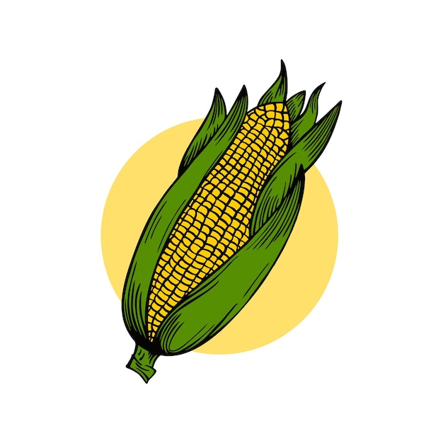 Una ilustración de estilo vintage retro de maíz de mazorca de maíz dulce
