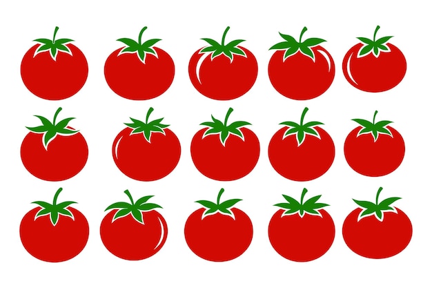 Ilustración del fajo vectorial del tomate Fajo vectoral de la silueta del tomate