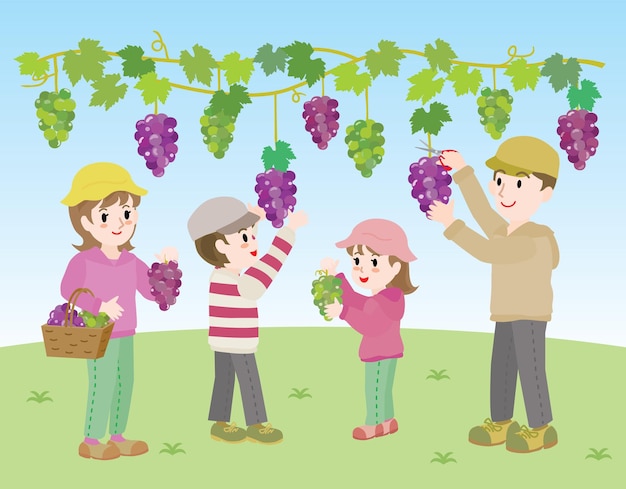 Vector ilustración de la familia recolectando uvas