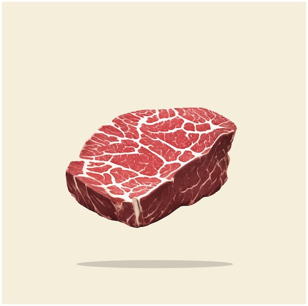 Vector ilustración de un filete de carne de res 03