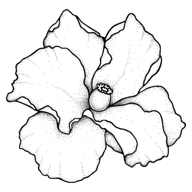 Ilustración de flor de amapola doodle