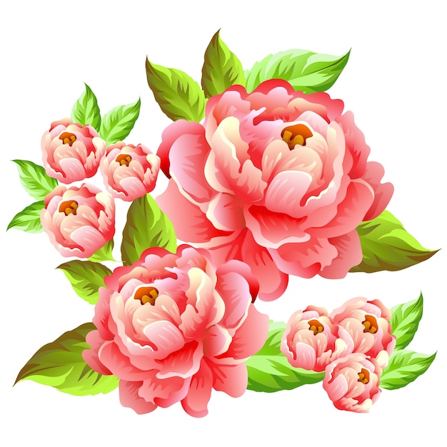 Ilustración de flor de camelia