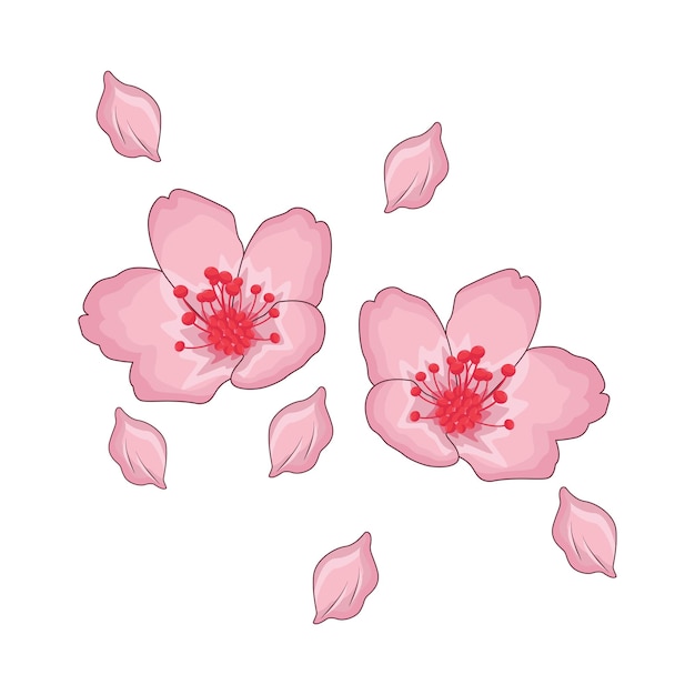 Ilustración de la flor del cerezo