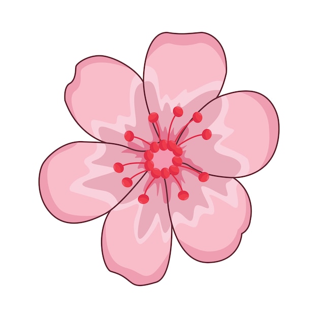 Ilustración de la flor del cerezo