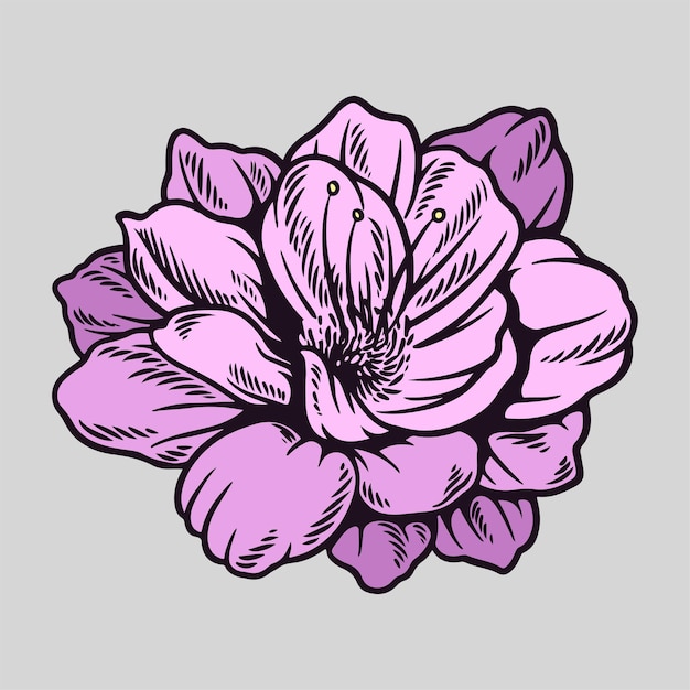 Ilustración de la flor del cerezo