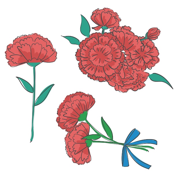 Ilustración de flor de clavel