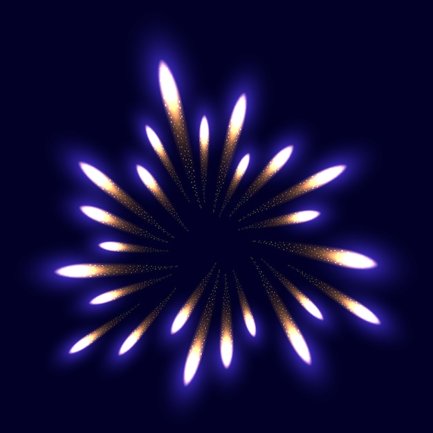 Vector ilustración de la flor colorida del fuego artificial. fondo de cielo nocturno