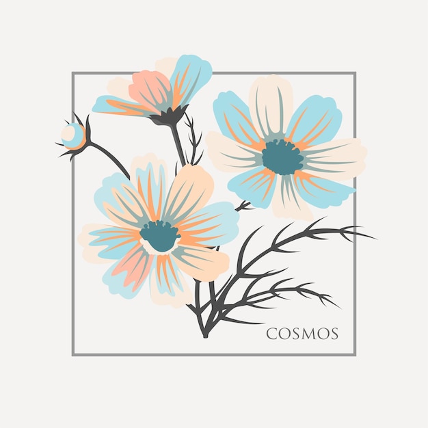 Ilustración de la flor del cosmos