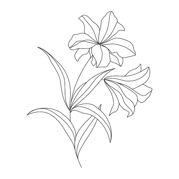 Ilustración de flor de dibujo de una línea mínima en estilo de arte lineal