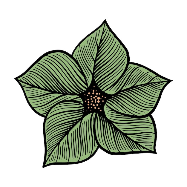 Vector ilustración de la flor de la flor