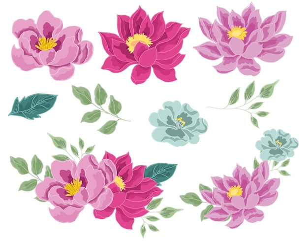 Ilustración de la flor de loto dibujada a mano