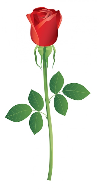 Vector ilustración de flor rosa