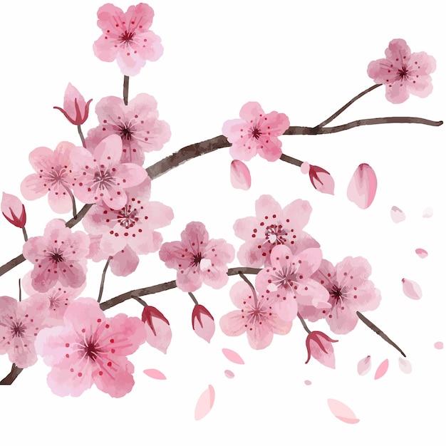 Ilustración de la flor de sakura