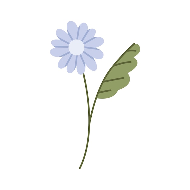Ilustración de una flor silvestre