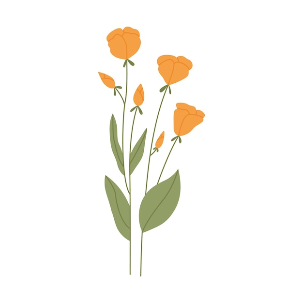 Ilustración de una flor silvestre