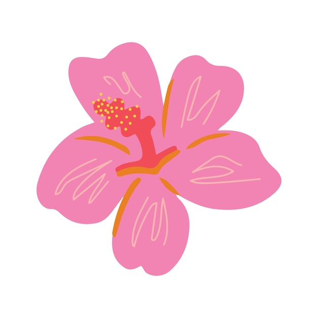 Ilustración de flor tropical de moda de verano dibujada a mano con capullo de hibisco rosa