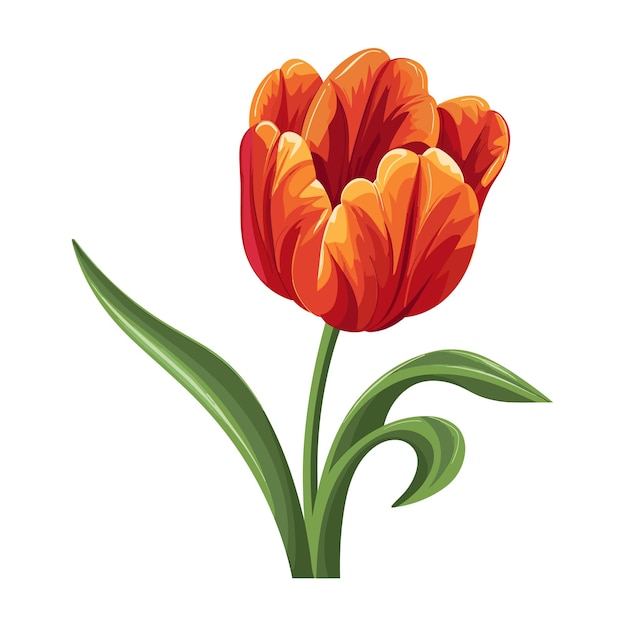 Ilustración De Flor De Tulipán De Color Plano Dibujado A Mano