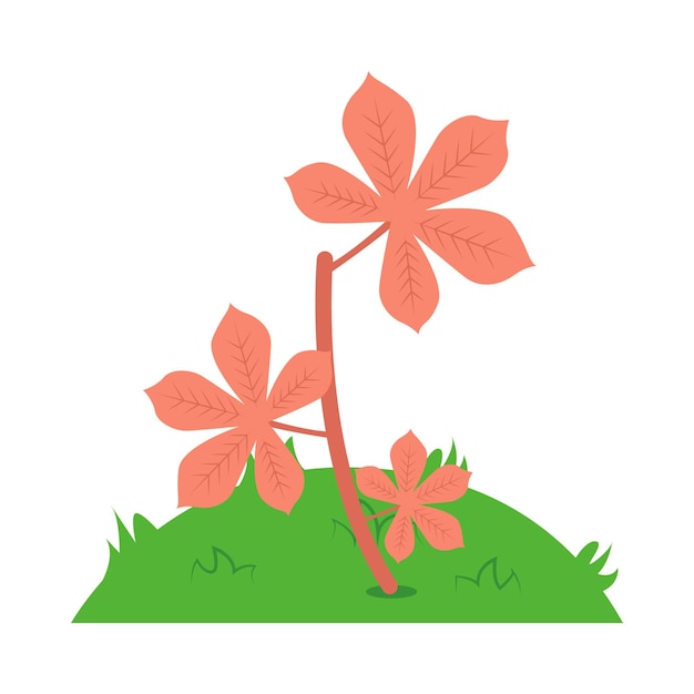 Ilustración de la flor