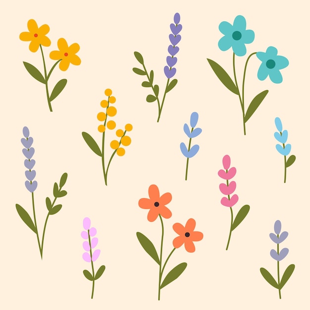 Ilustración floral brillante y colorida con varias colecciones de flores