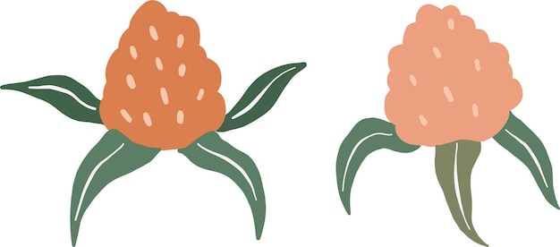 Ilustración floral linda dibujo a mano de flores acuarela minimalista conjunto de elementos lindos