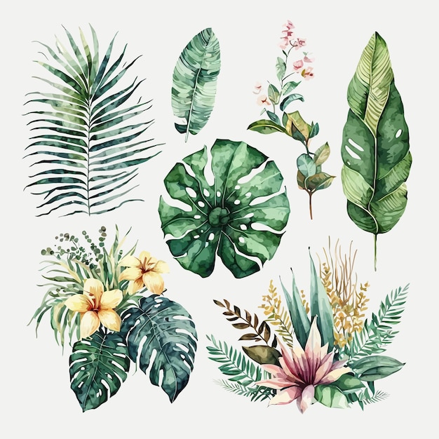 Ilustración floral tropical acuarela con hojas verdes Plantilla de elementos decorativos Ilustración de dibujos animados plana aislada sobre fondo blanco