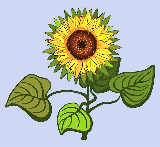 Ilustración floral vectorial de girasol con hojas sobre fondo azul claro.