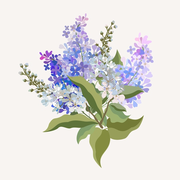 Ilustración floral vectorial de ramo primaveral con lila y cereza aislado sobre fondo beige.