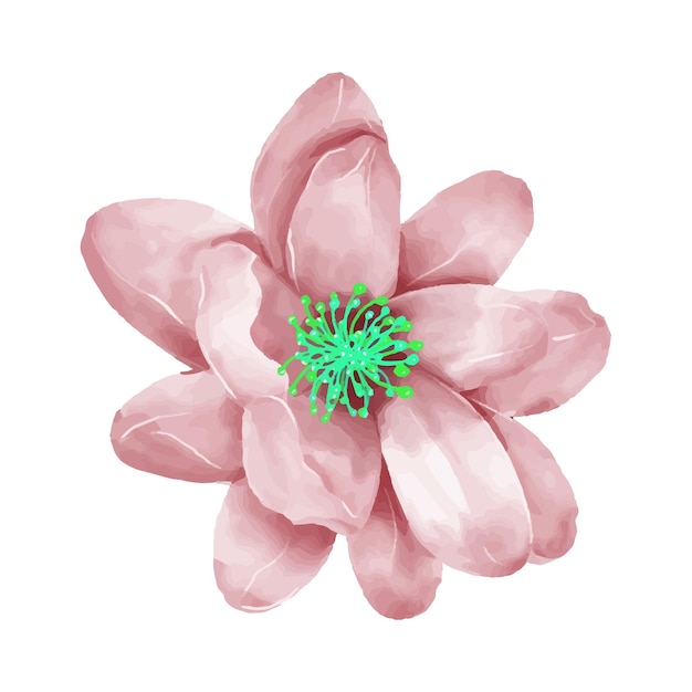 Ilustración de flores en acuarela sobre un fondo blanco