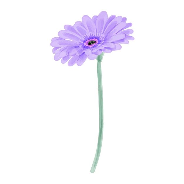 Ilustración de flores en acuarela sobre un fondo blanco