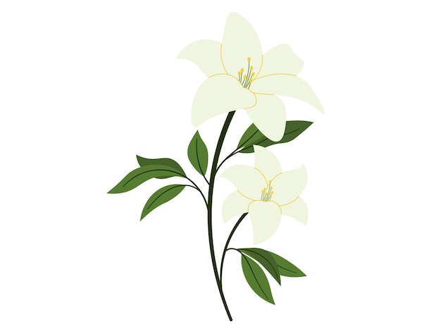 Vector ilustración de las flores de almendra de primavera