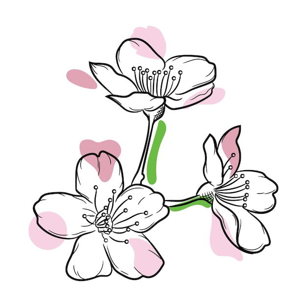 Ilustración de flores de cerezo de colores un hermoso vector de plantas de sakura