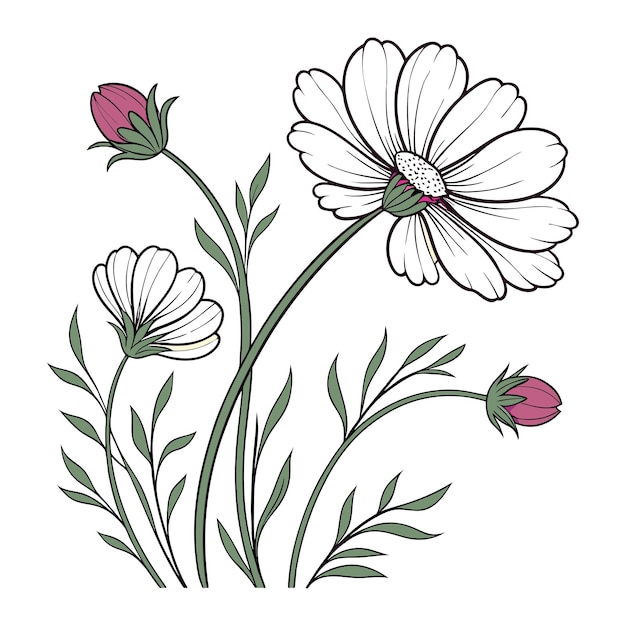 Ilustración de flores para colorear sobre un fondo blanco