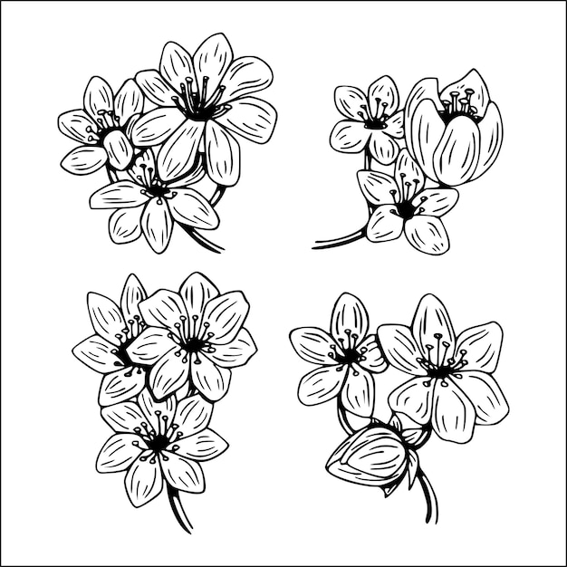 Ilustración de flores dibujadas a mano en blanco y negro