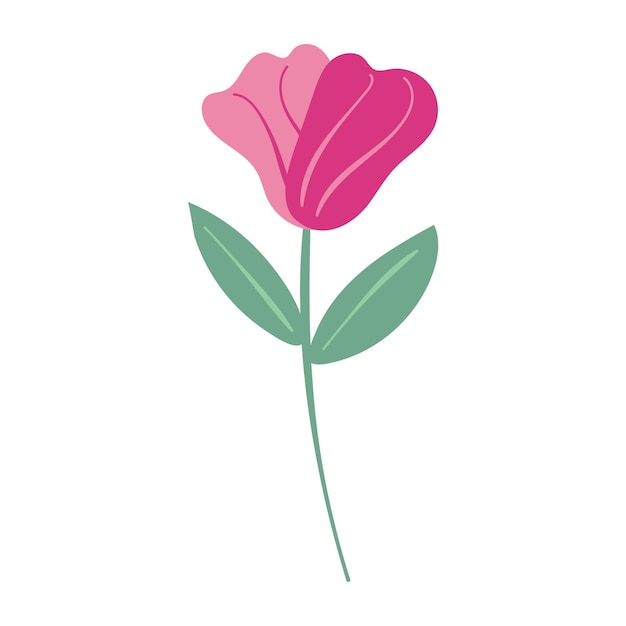 Ilustración de flores y hojas aisladas sobre el fondo blanco