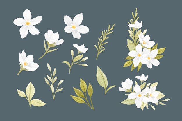 Ilustración de las flores de jazmín en acuarela