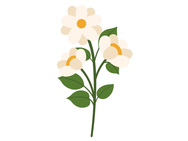 Vector ilustración de las flores de la peonía de primavera