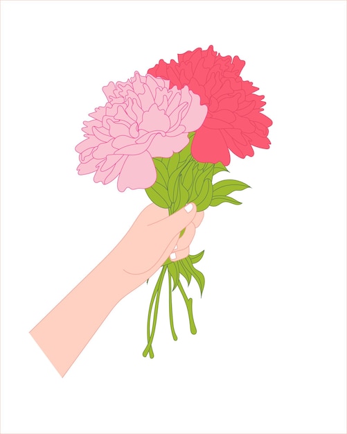 Ilustración de flores de peonía rosadas y rojas sostenidas por la mano aisladas