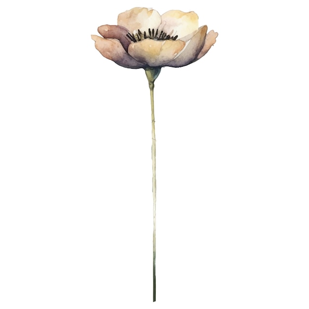 Ilustración de flores pintadas con acuarela vectorial Elementos de diseño de flores dibujados a mano aislados sobre fondo blanco